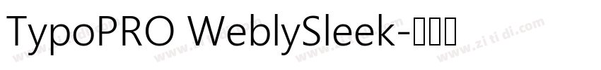 TypoPRO WeblySleek字体转换